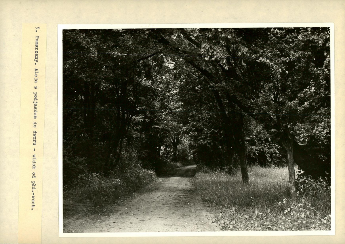 Ewidencja parkowa, skan nr 16