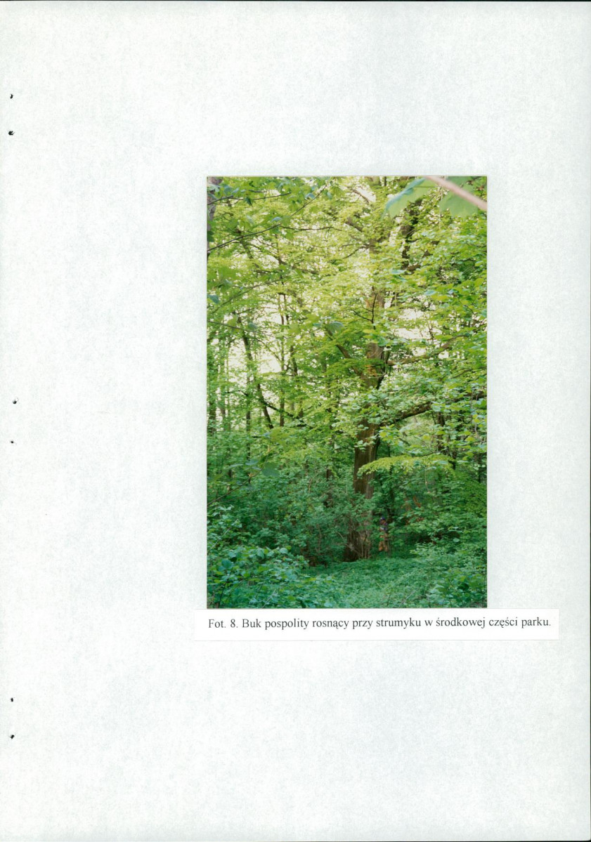 EP - Ewidencja parkowa, skan nr 64