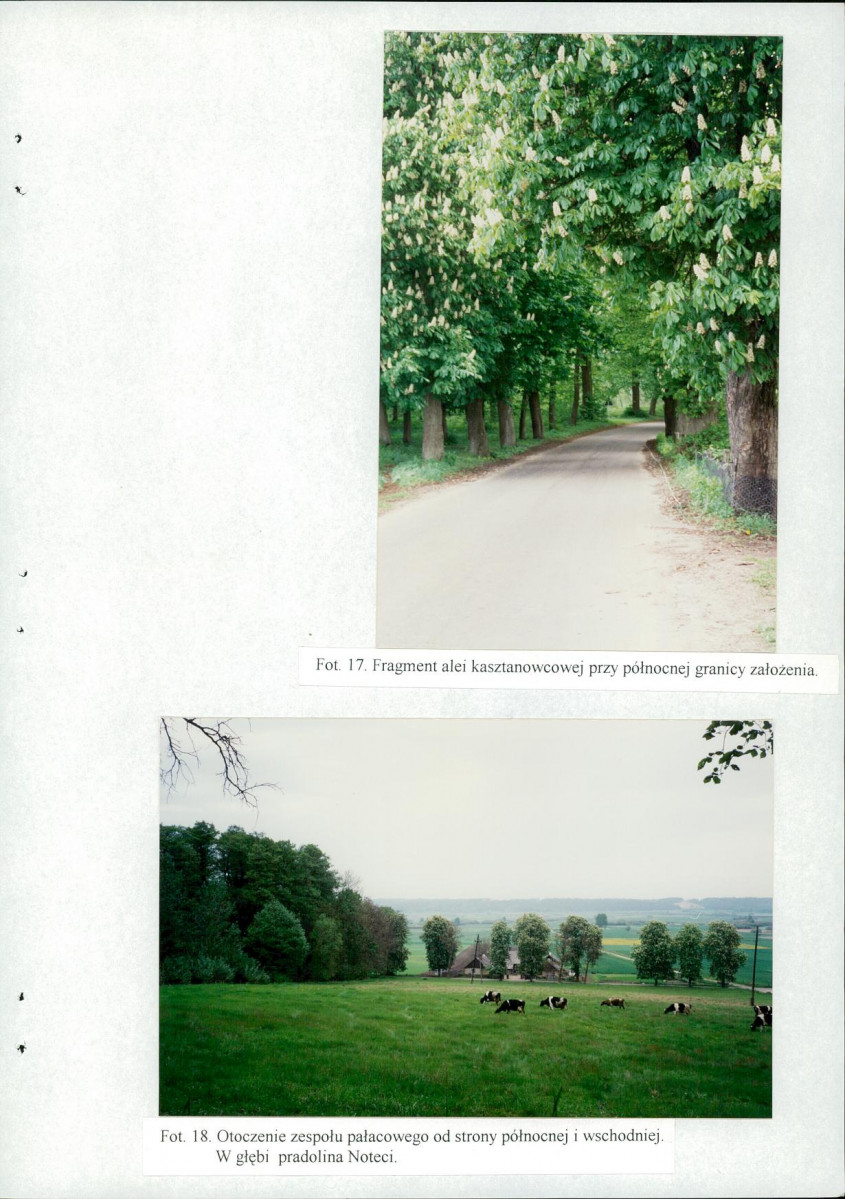 EP - Ewidencja parkowa, skan nr 69