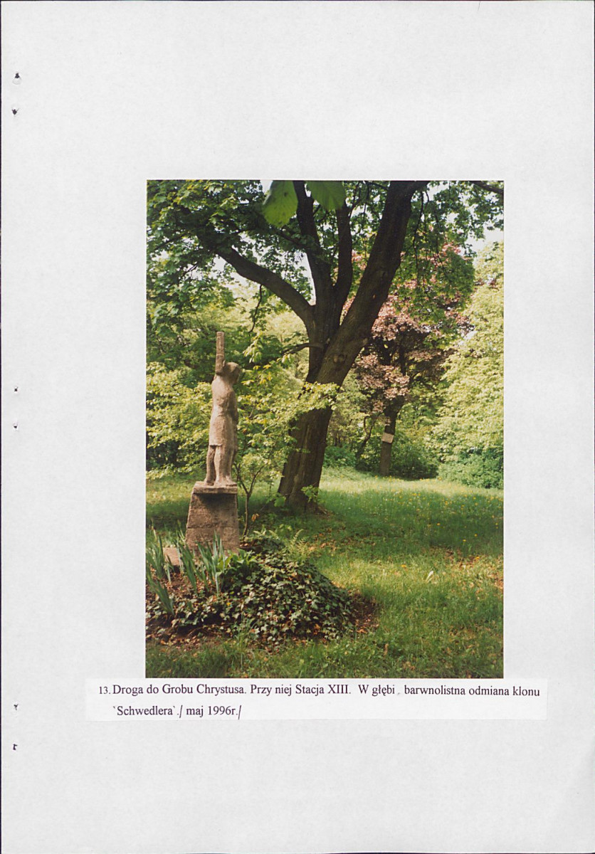 EP - Ewidencja parkowa, skan nr 58