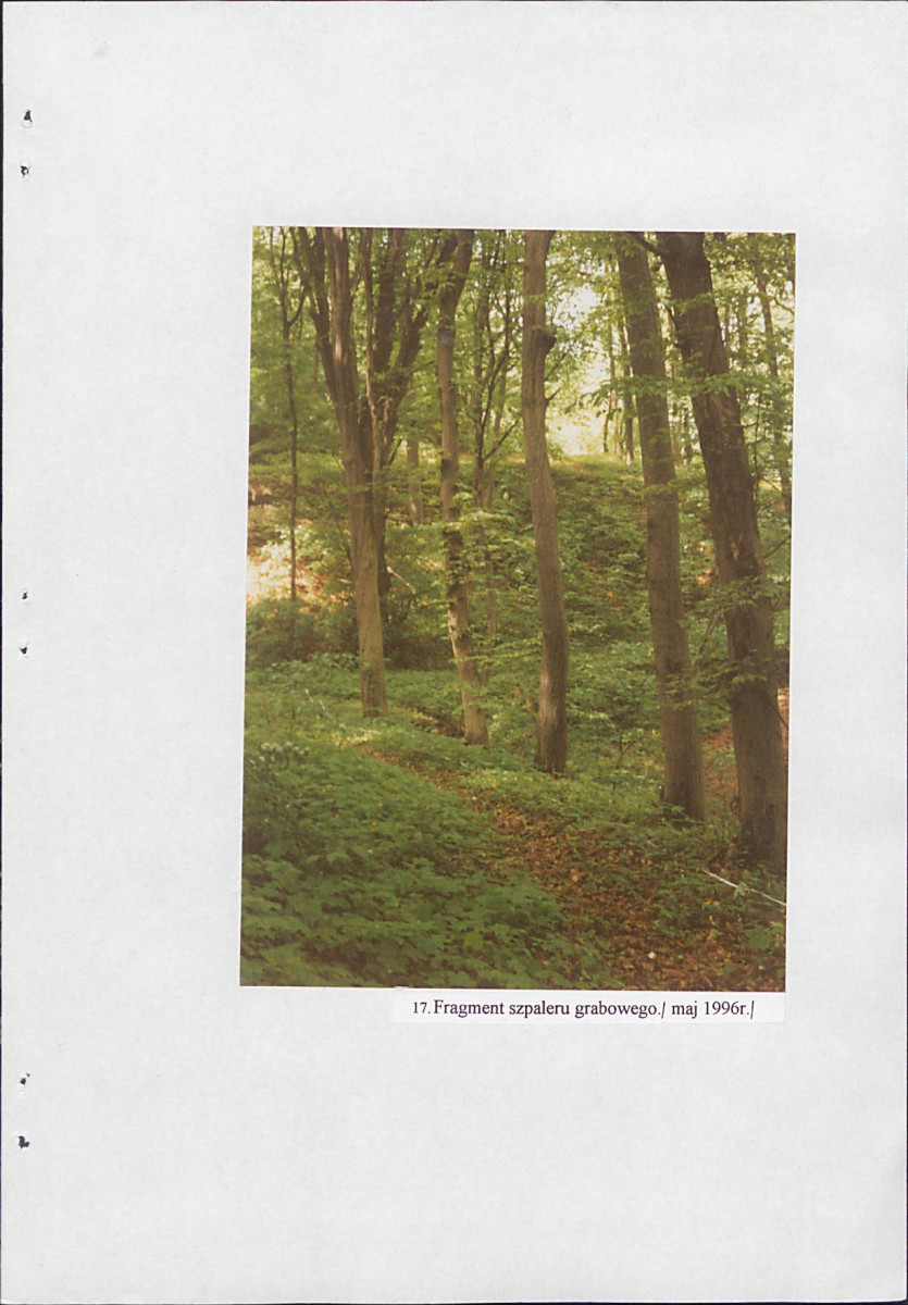 EP - Ewidencja parkowa, skan nr 60