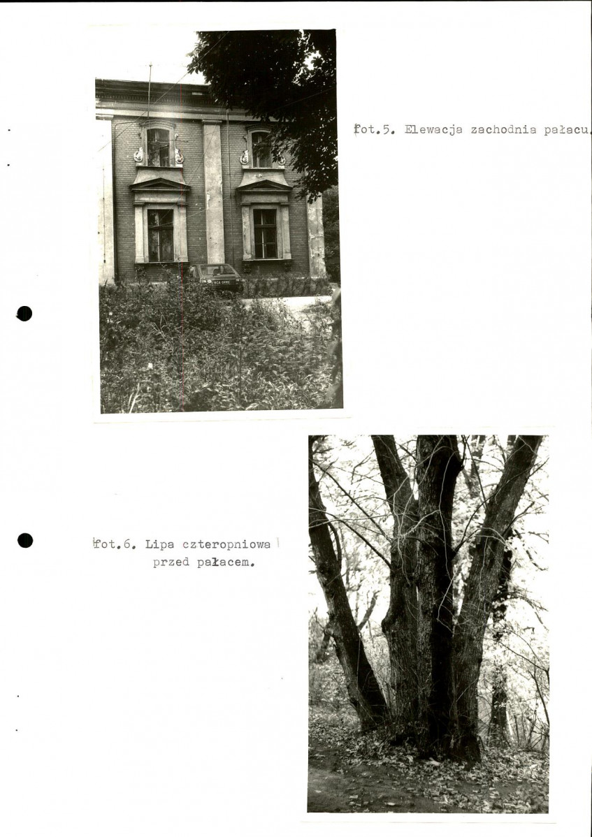 Ewidencja parkowa, skan nr 21