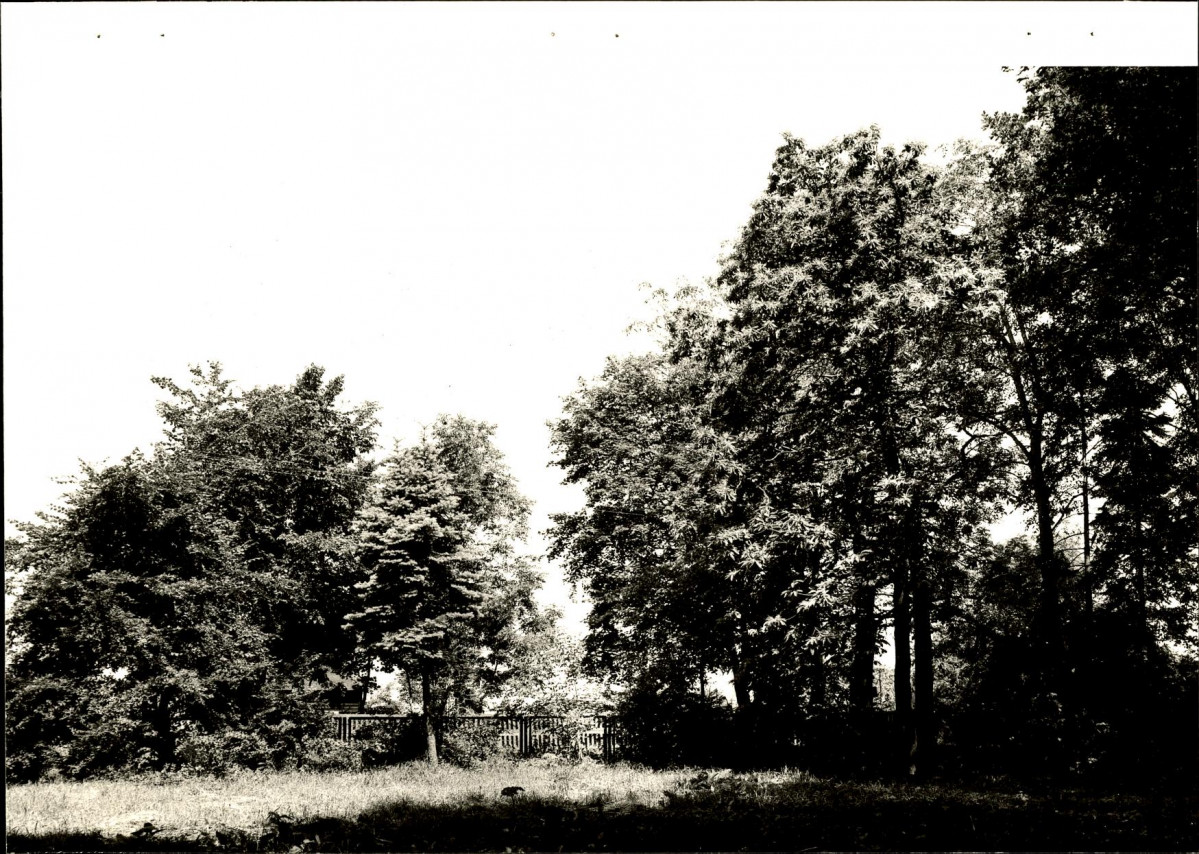 Ewidencja parkowa, skan nr 26
