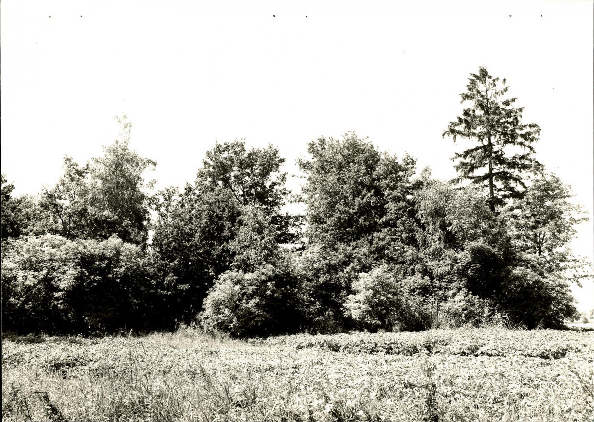 Ewidencja parkowa, skan nr 28