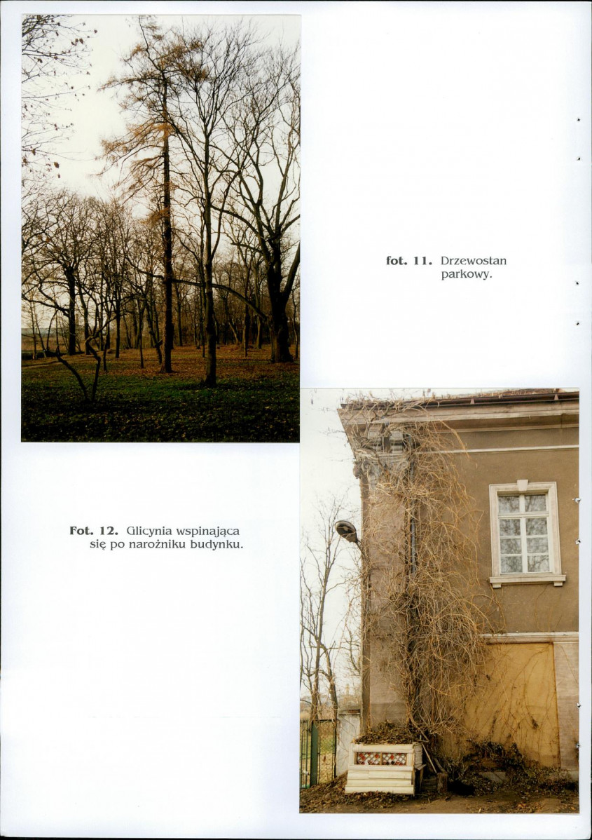 EP - Ewidencja parkowa, skan nr 28