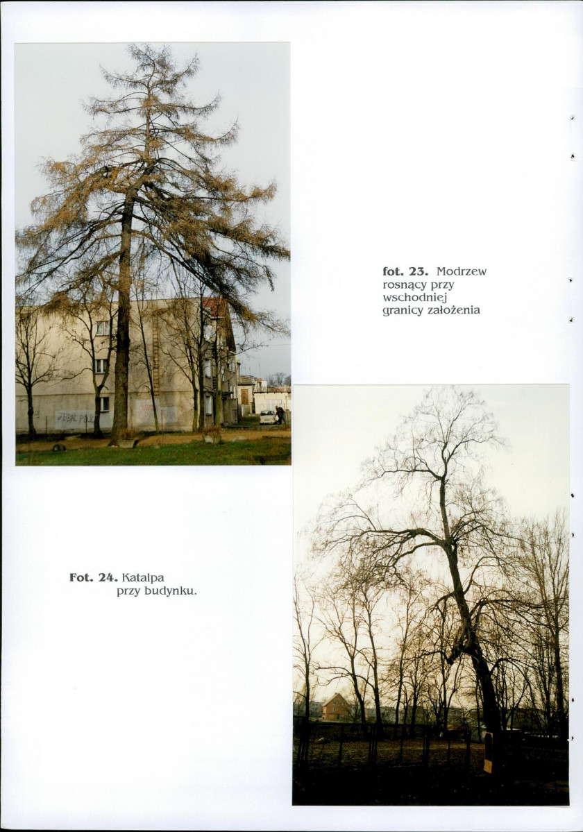 EP - Ewidencja parkowa, skan nr 34