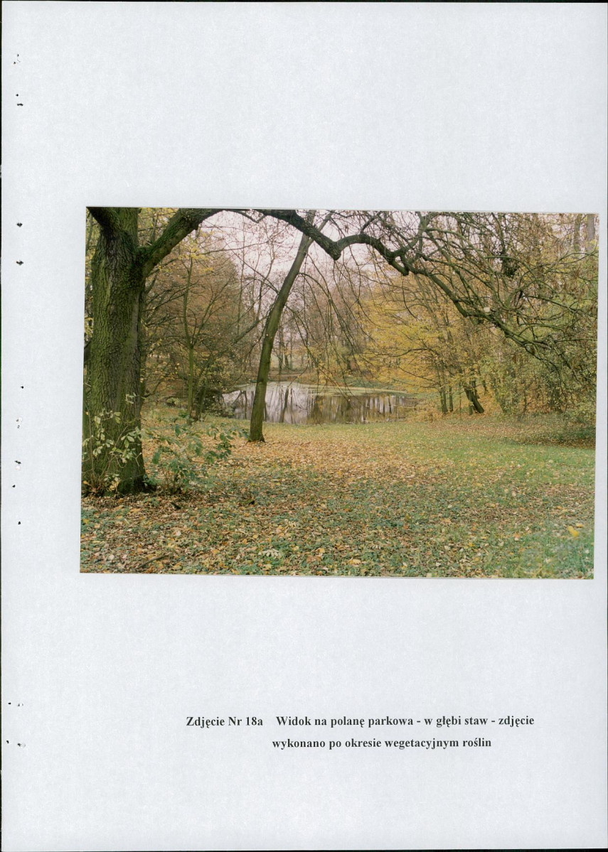 EP - Ewidencja parkowa, skan nr 54