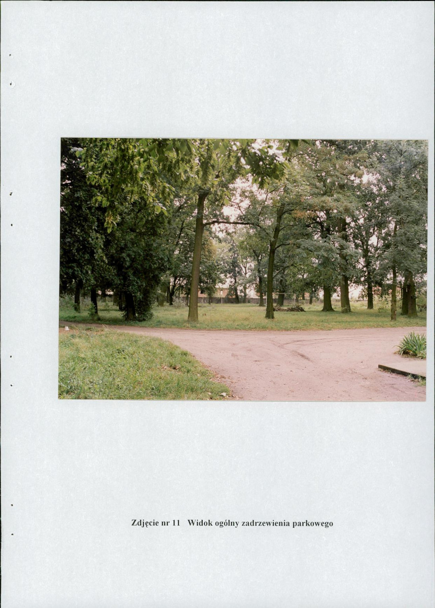 EP - Ewidencja parkowa, skan nr 38