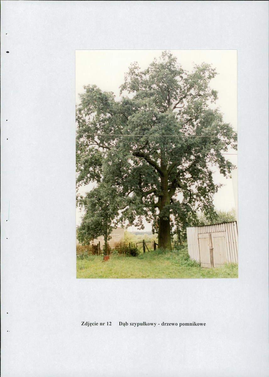 EP - Ewidencja parkowa, skan nr 39