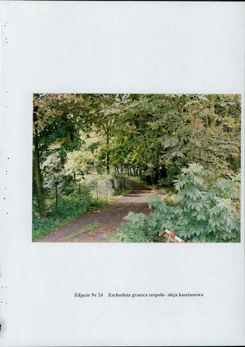 EP - Ewidencja parkowa, skan nr 60