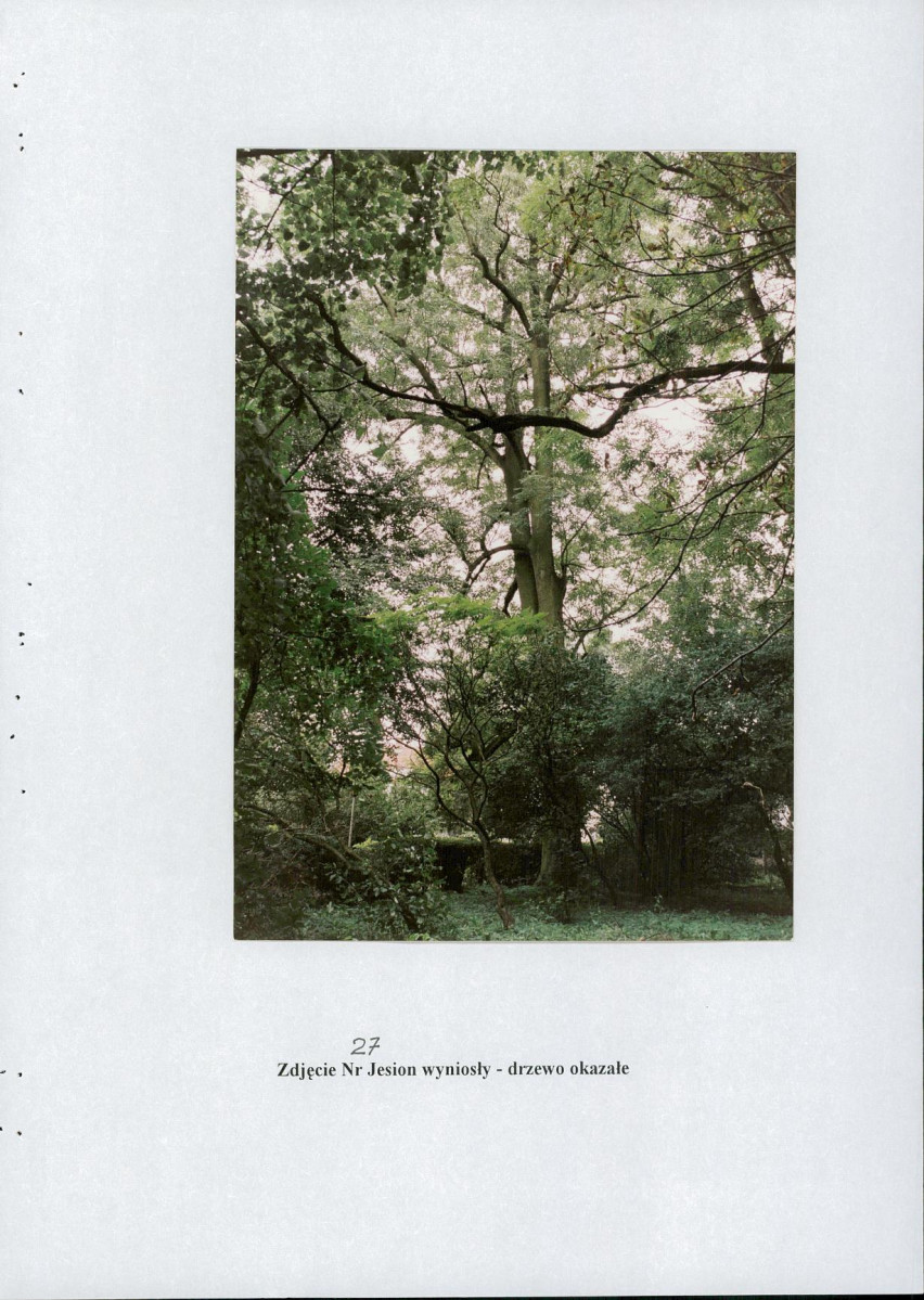 EP - Ewidencja parkowa, skan nr 63