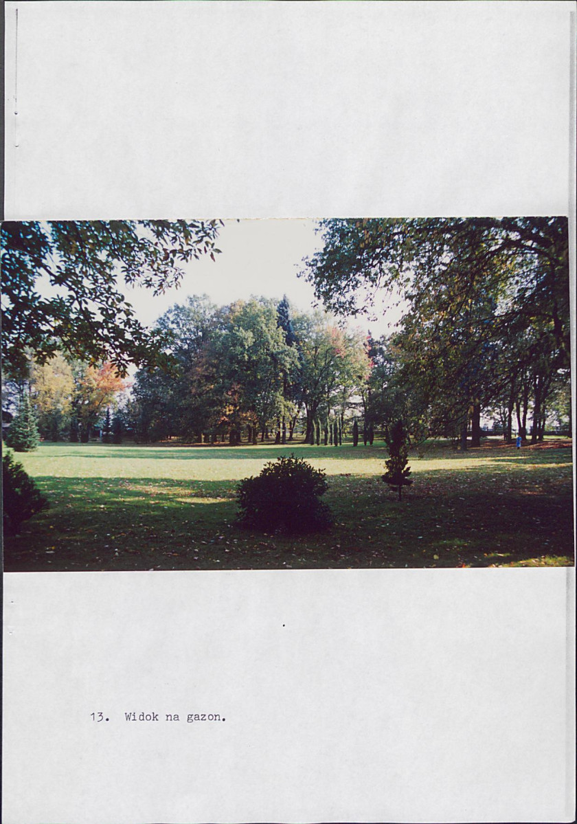 EP - Ewidencja parkowa, skan nr 48