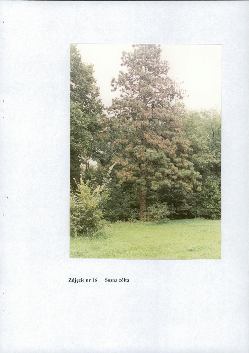 EP - Ewidencja parkowa, skan nr 55