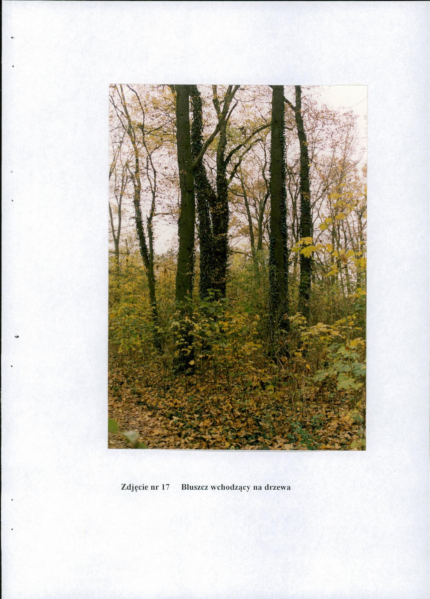 EP - Ewidencja parkowa, skan nr 56
