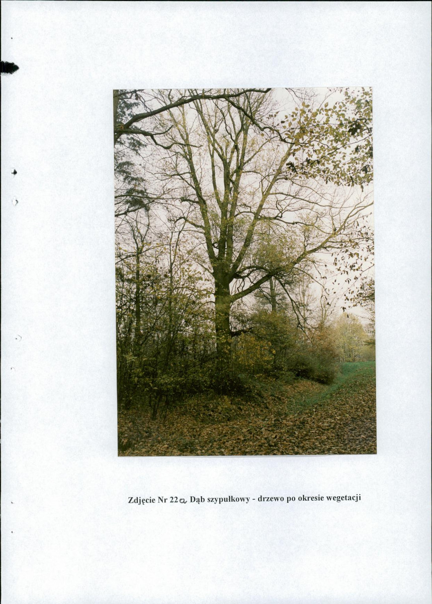EP - Ewidencja parkowa, skan nr 63