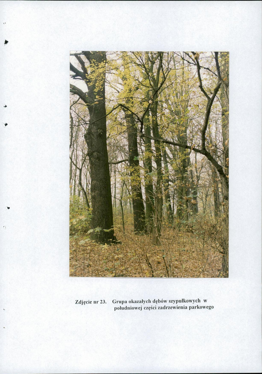EP - Ewidencja parkowa, skan nr 64