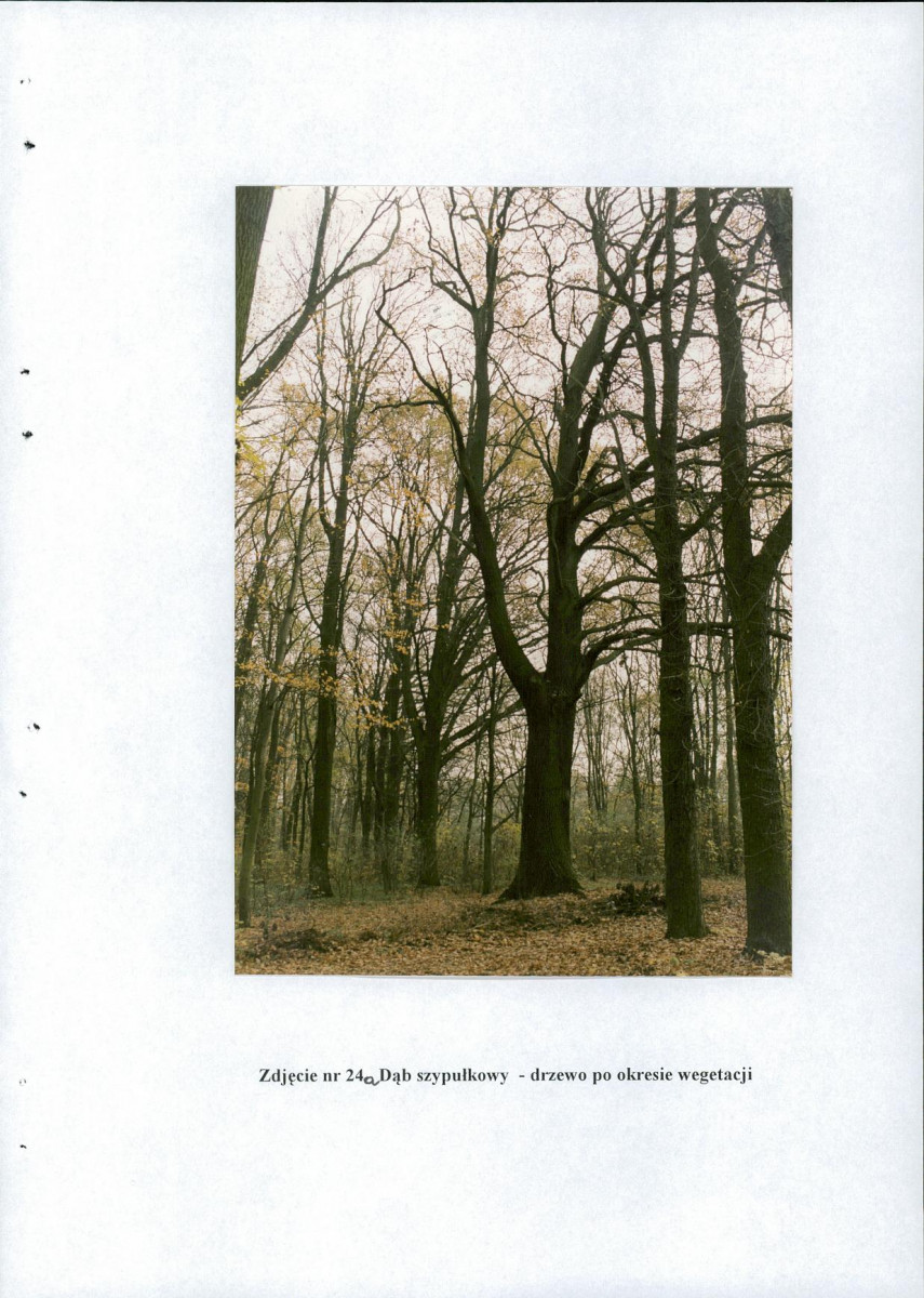 EP - Ewidencja parkowa, skan nr 66
