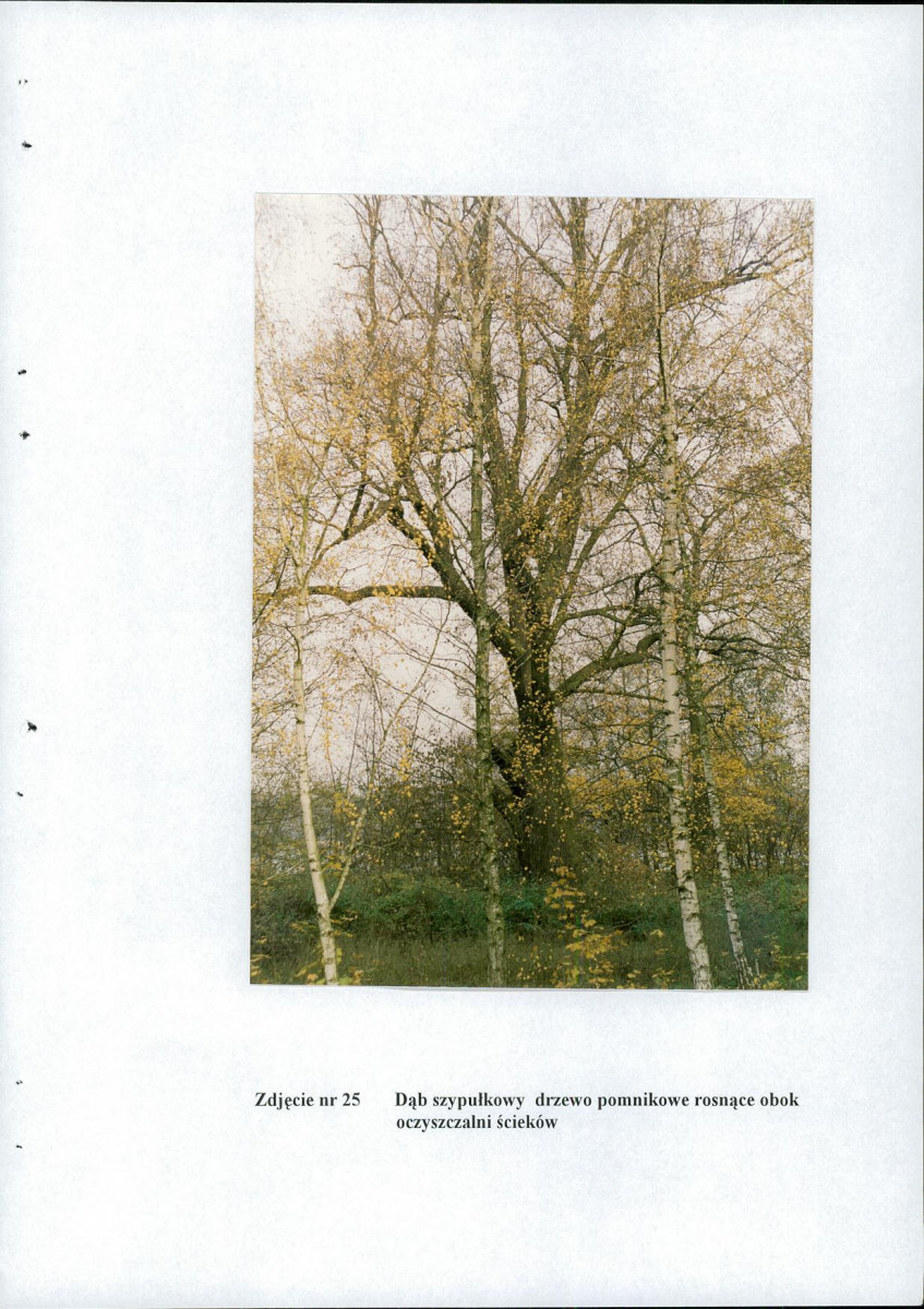 EP - Ewidencja parkowa, skan nr 67