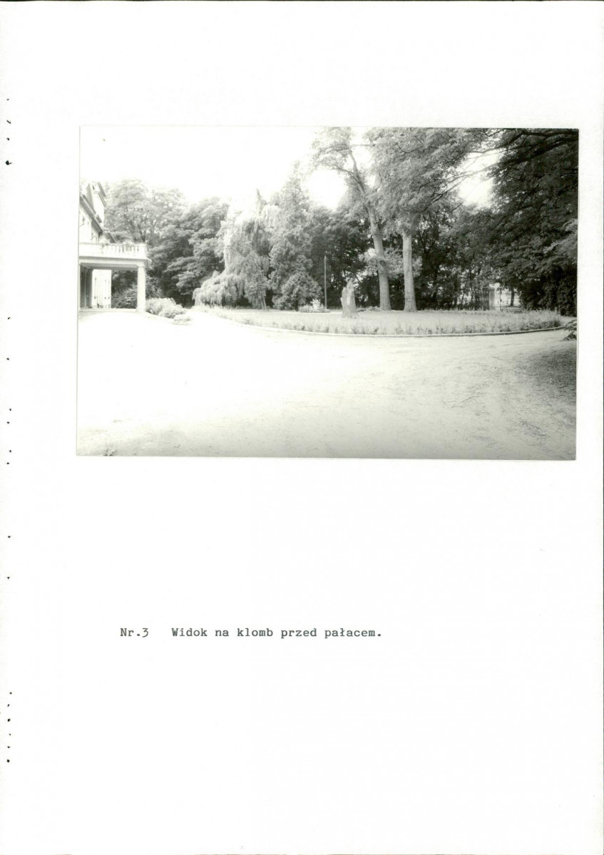 Ewidencja parkowa, skan nr 29