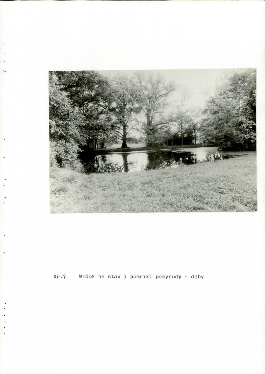 Ewidencja parkowa, skan nr 33