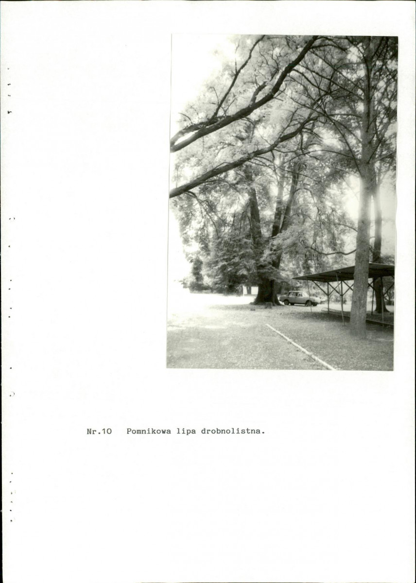 Ewidencja parkowa, skan nr 37