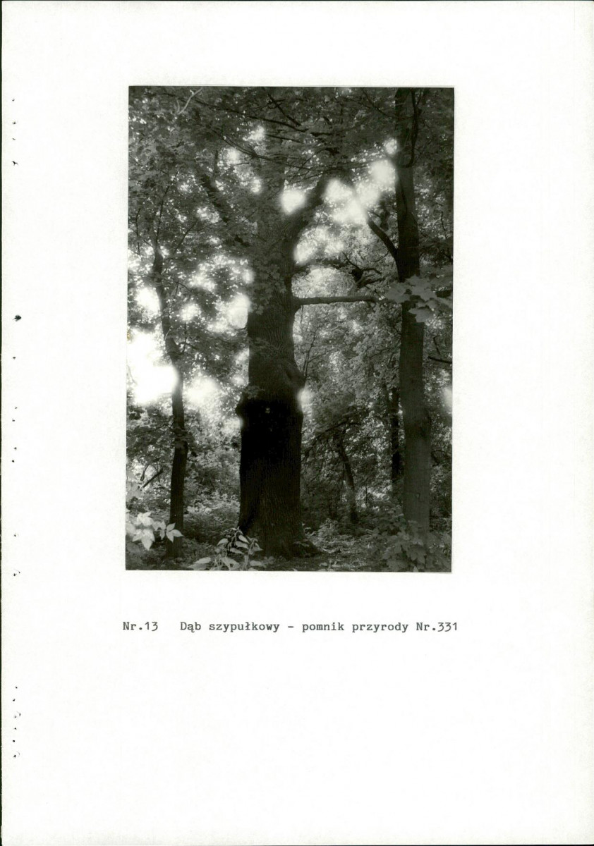 Ewidencja parkowa, skan nr 39