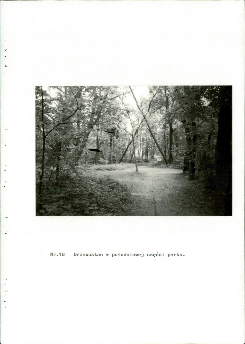 Ewidencja parkowa, skan nr 44