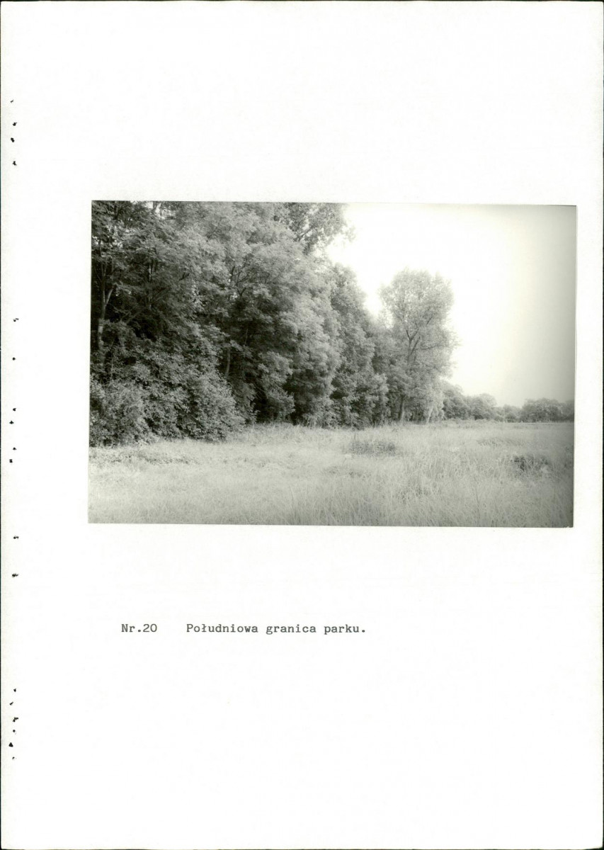 Ewidencja parkowa, skan nr 46