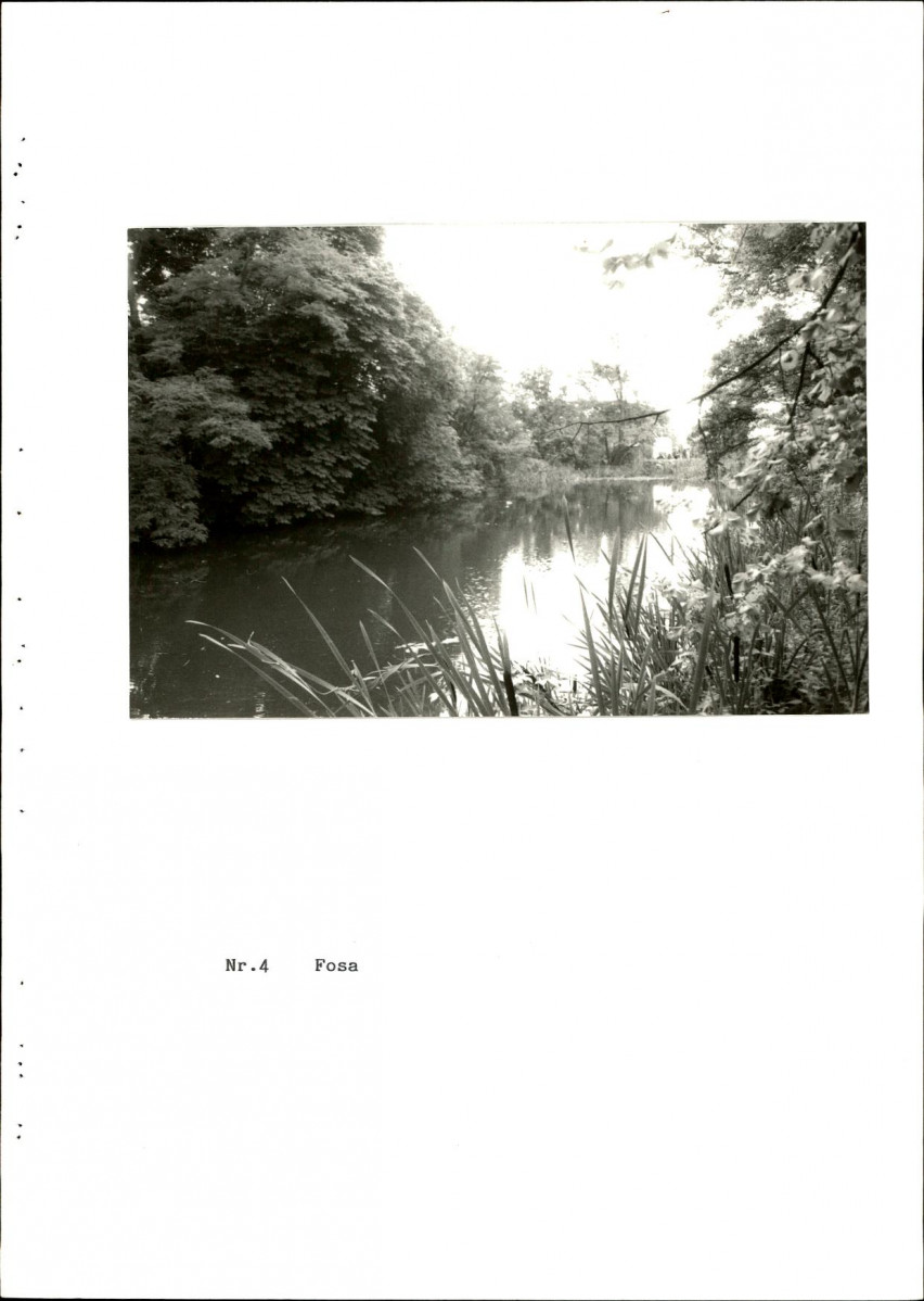 EP - Ewidencja parkowa, skan nr 42
