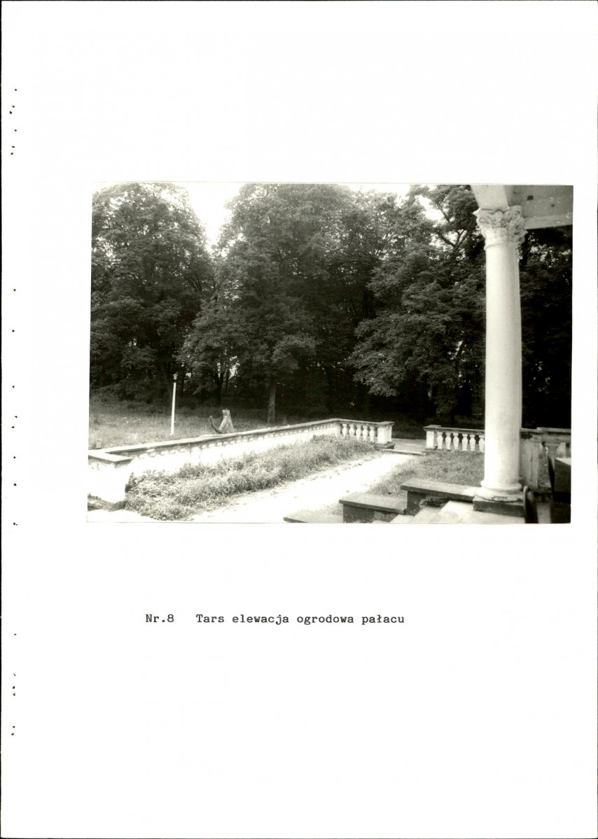 EP - Ewidencja parkowa, skan nr 46