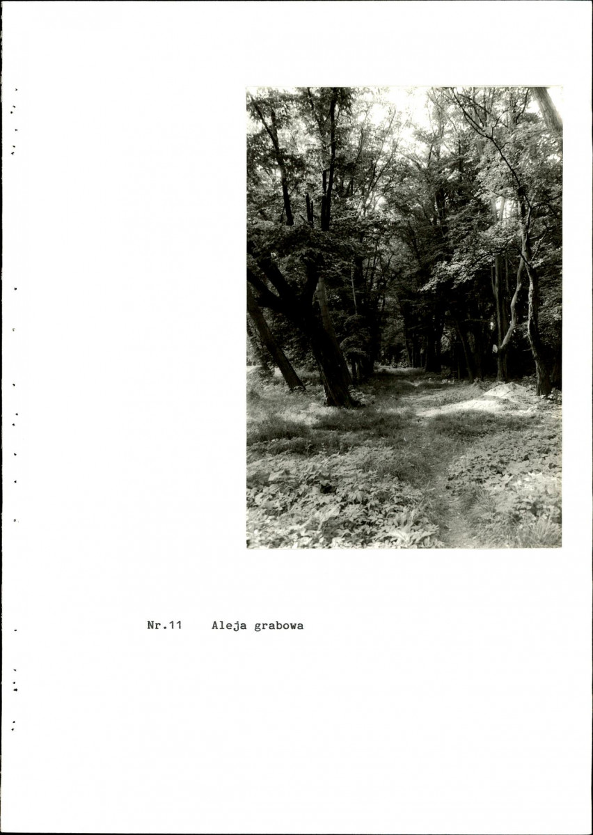 EP - Ewidencja parkowa, skan nr 49