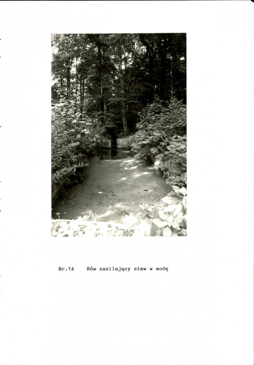 EP - Ewidencja parkowa, skan nr 52