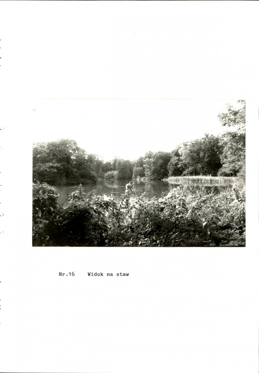 EP - Ewidencja parkowa, skan nr 54