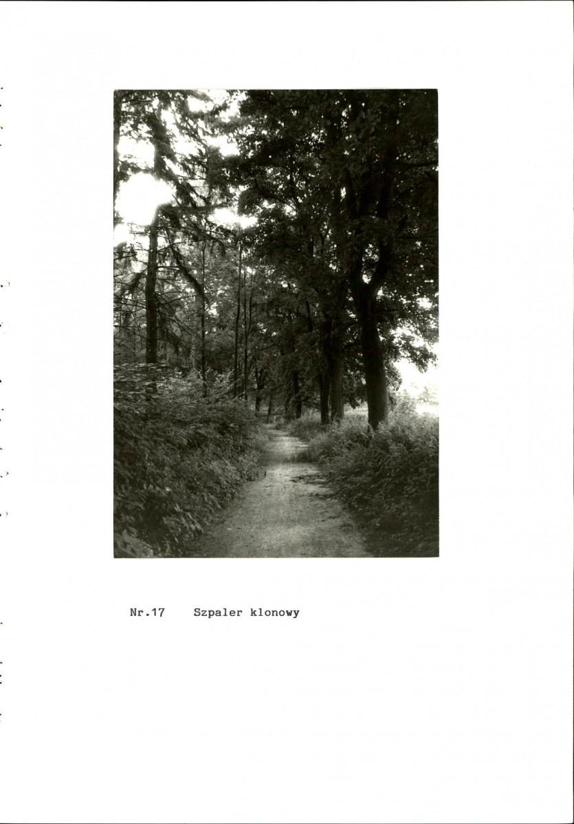 EP - Ewidencja parkowa, skan nr 55