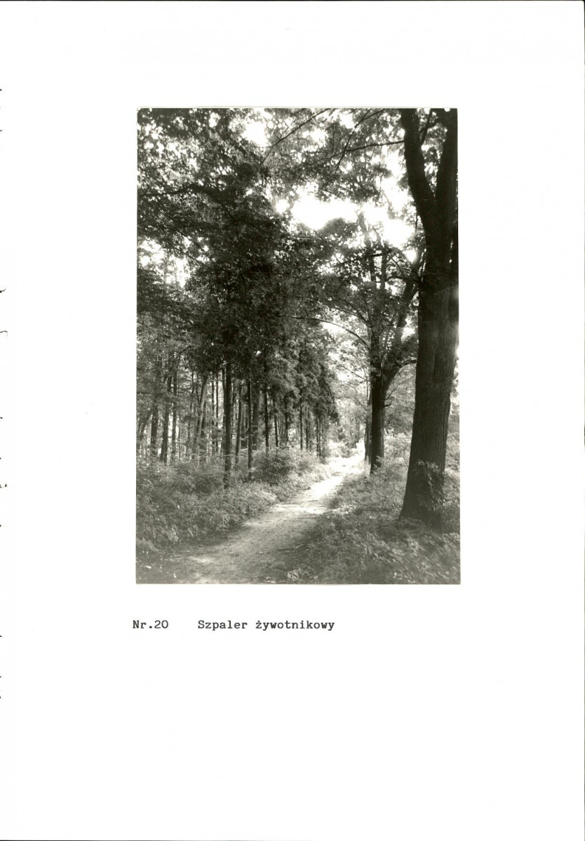 EP - Ewidencja parkowa, skan nr 58