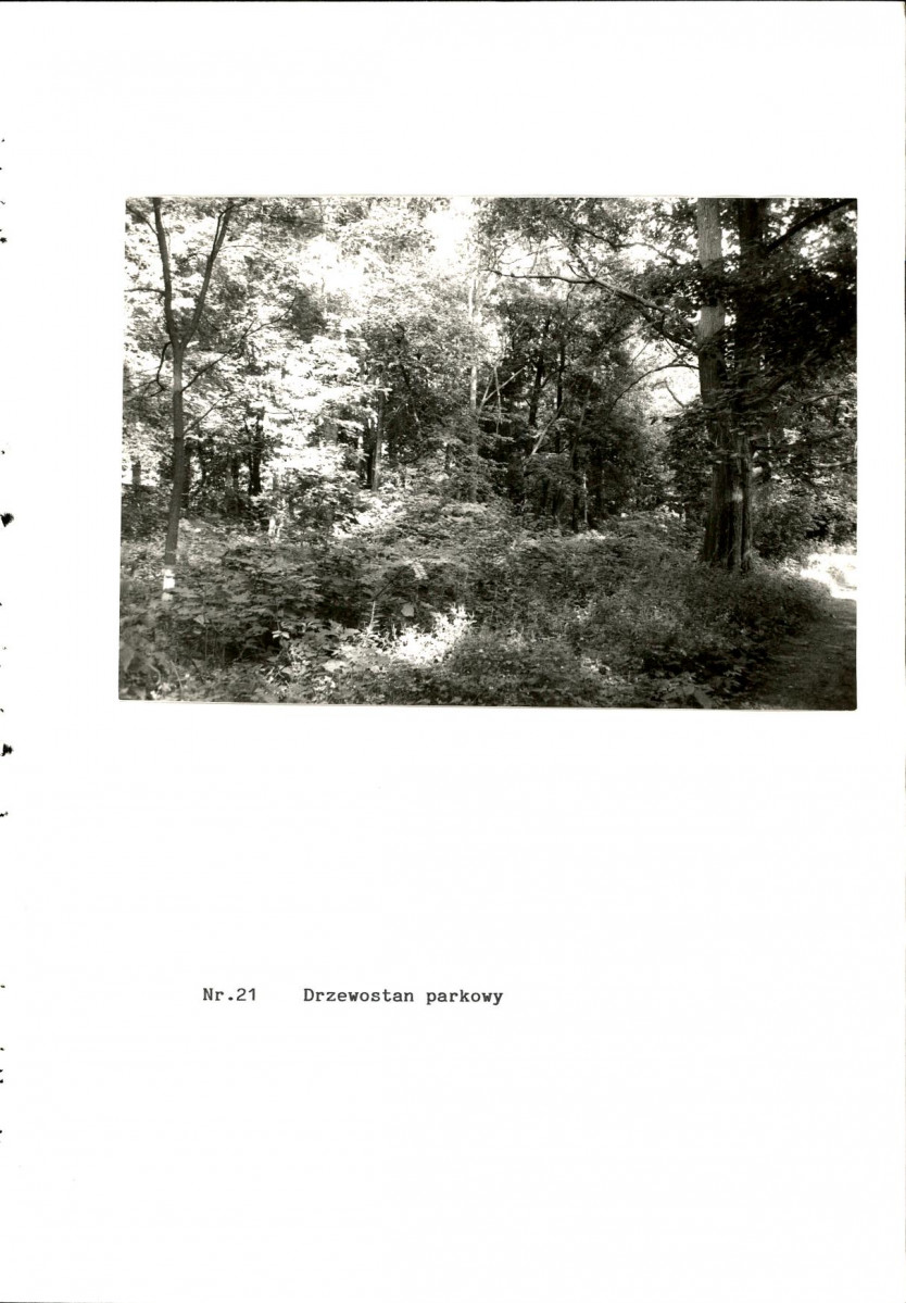 EP - Ewidencja parkowa, skan nr 59