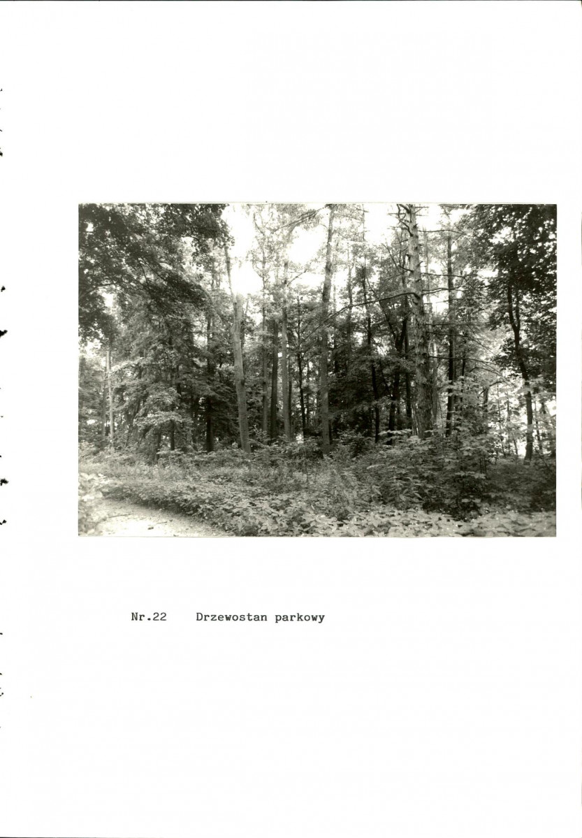 EP - Ewidencja parkowa, skan nr 60