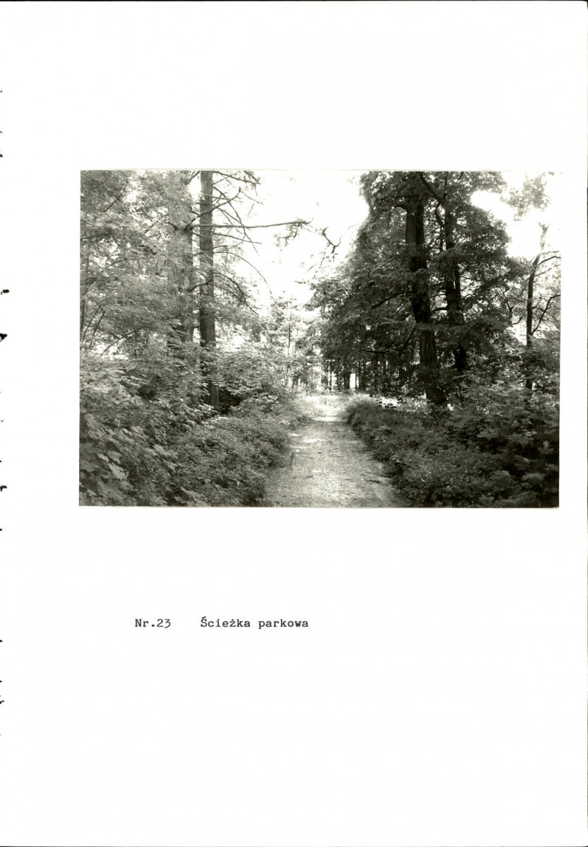 EP - Ewidencja parkowa, skan nr 61