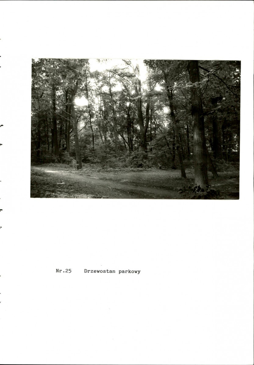 EP - Ewidencja parkowa, skan nr 63