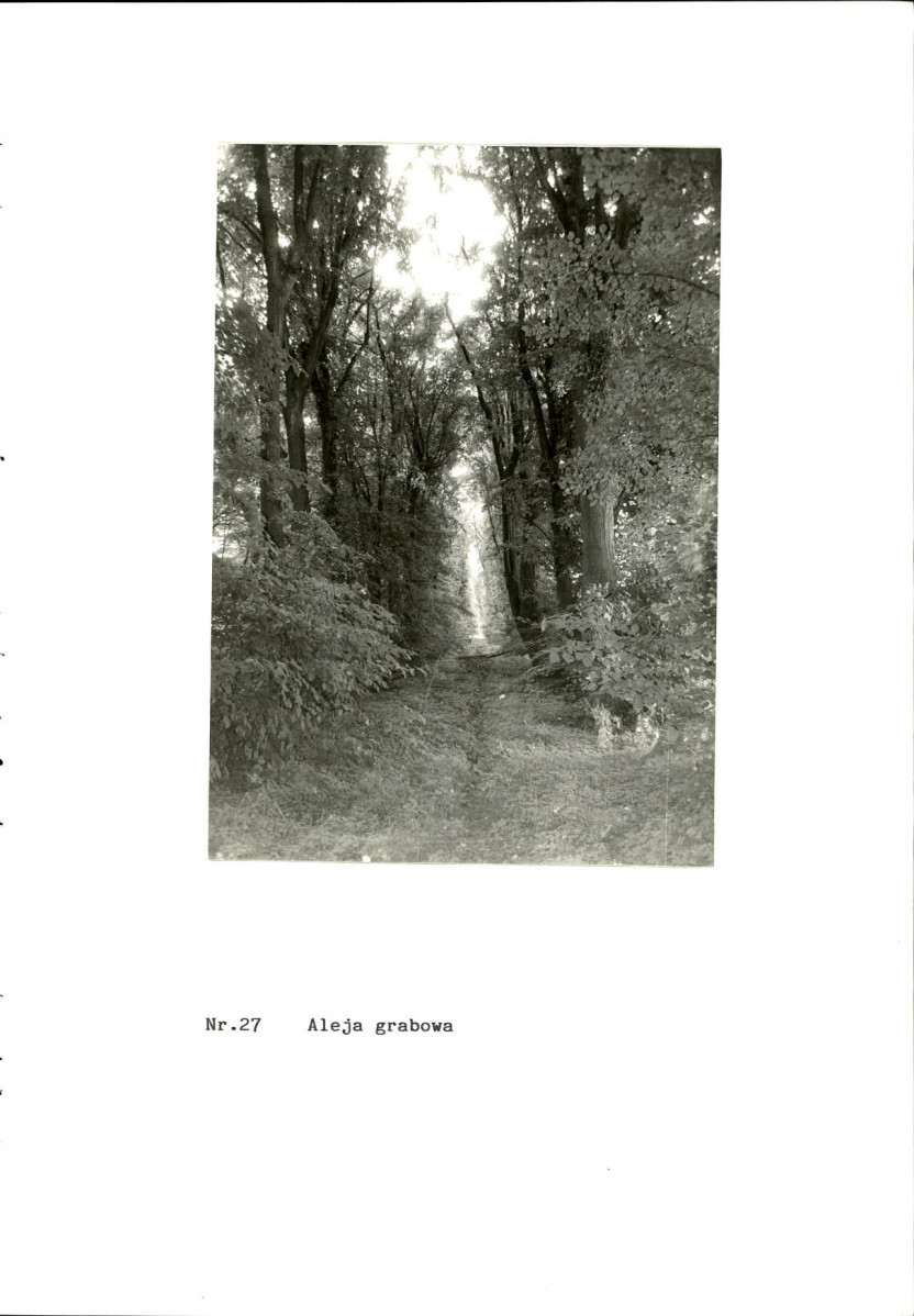 EP - Ewidencja parkowa, skan nr 65