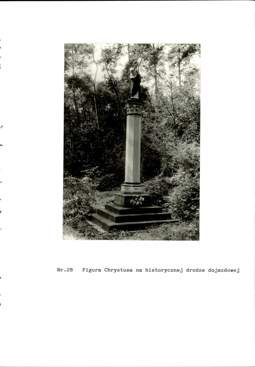 EP - Ewidencja parkowa, skan nr 66