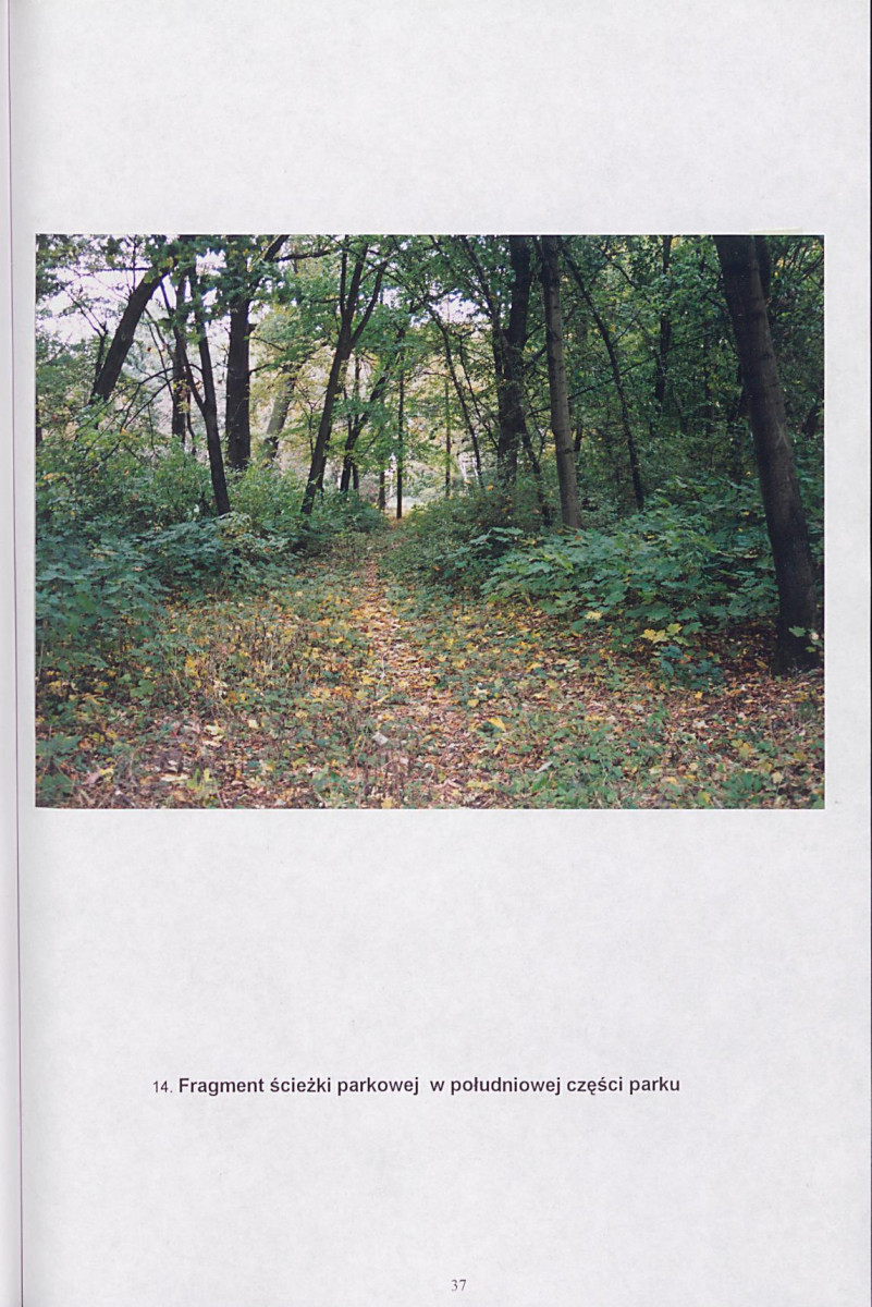 EP - Ewidencja parkowa, skan nr 54