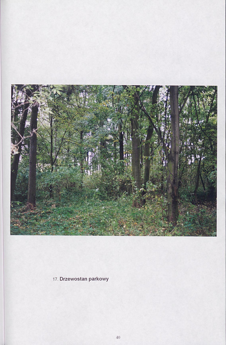 EP - Ewidencja parkowa, skan nr 57