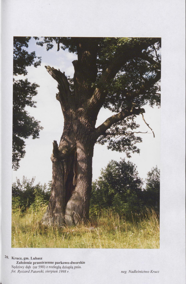 Ewidencja parkowa, skan nr 53