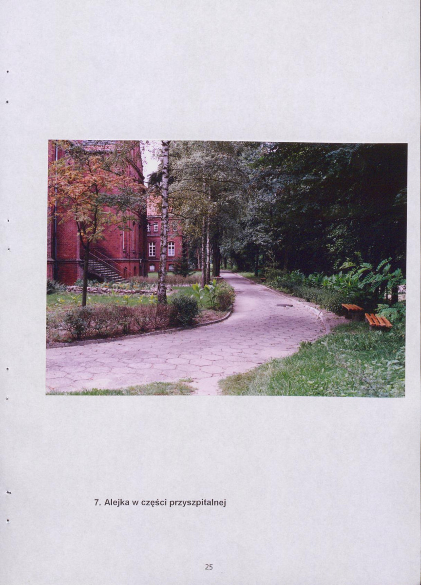 EP - Ewidencja parkowa, skan nr 38