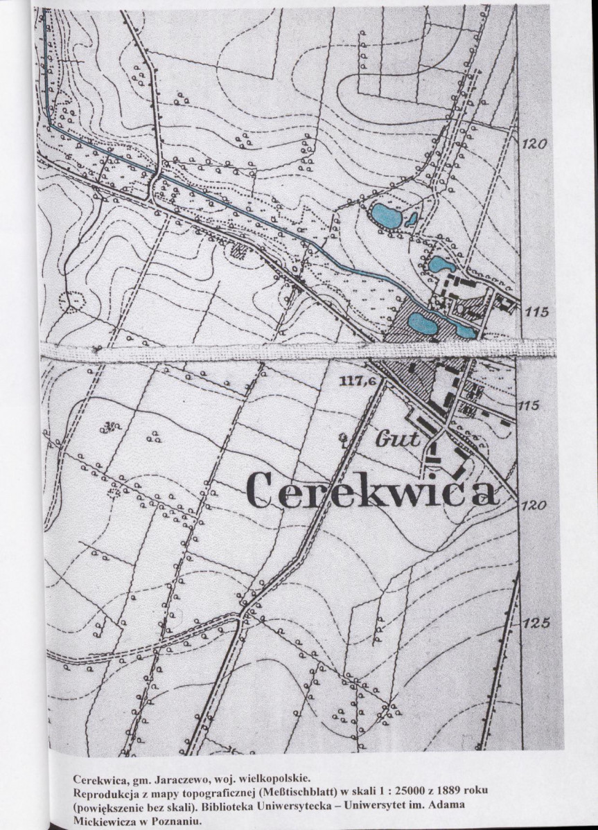 EP - Ewidencja parkowa, skan nr 25