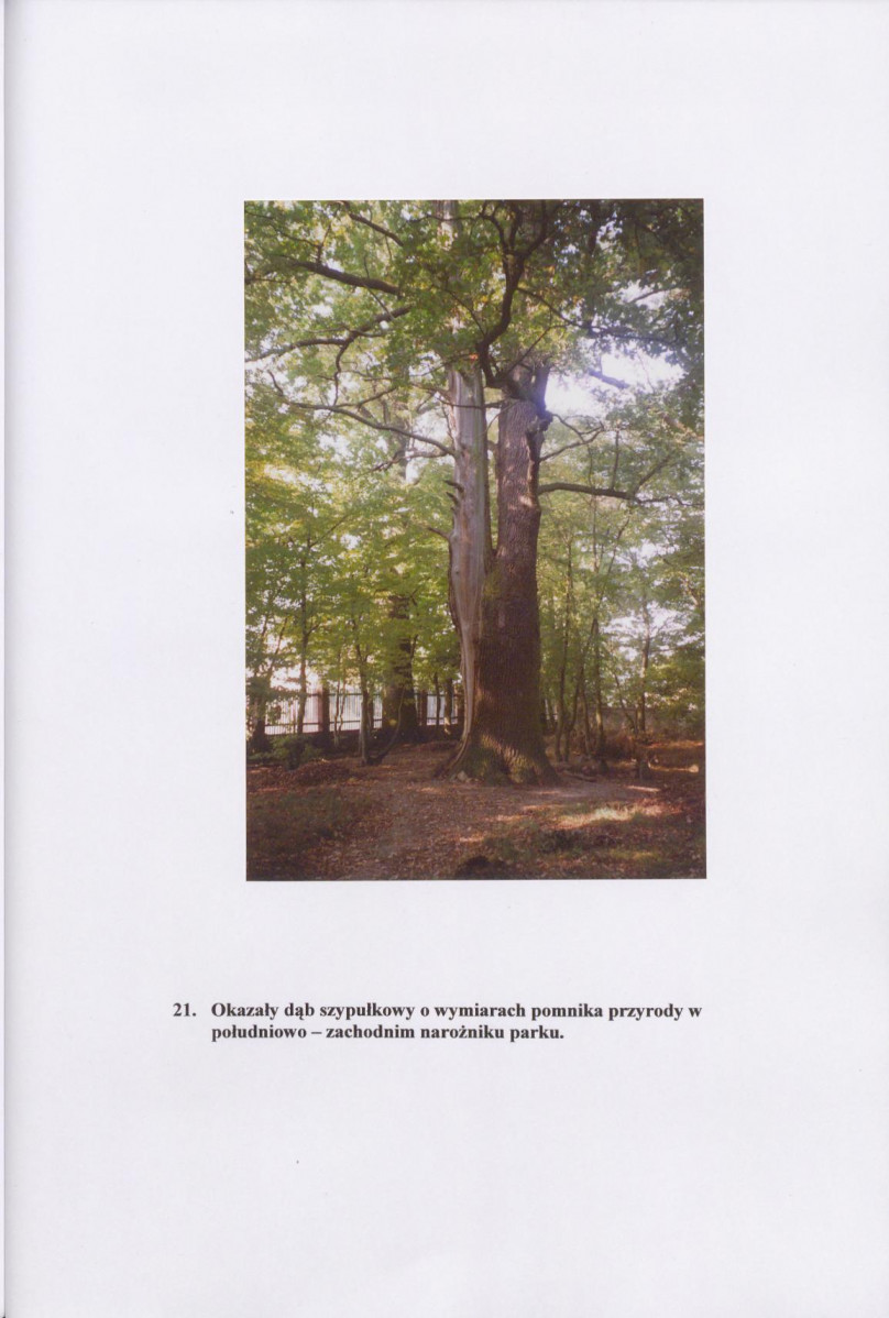 EP - Ewidencja parkowa, skan nr 36