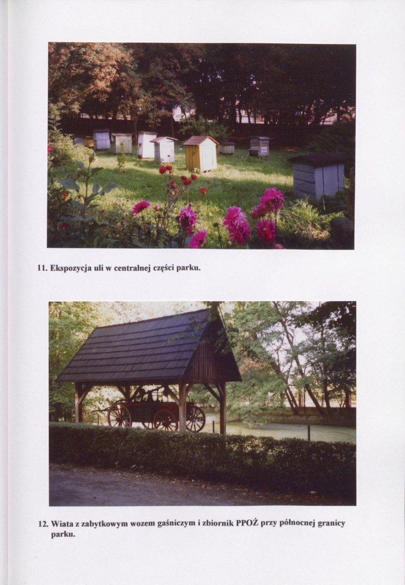EP - Ewidencja parkowa, skan nr 29