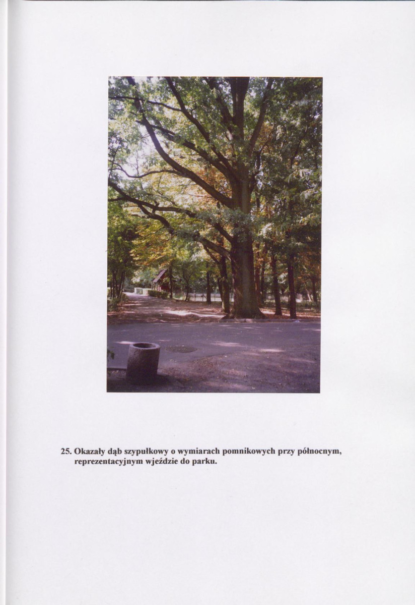 EP - Ewidencja parkowa, skan nr 36