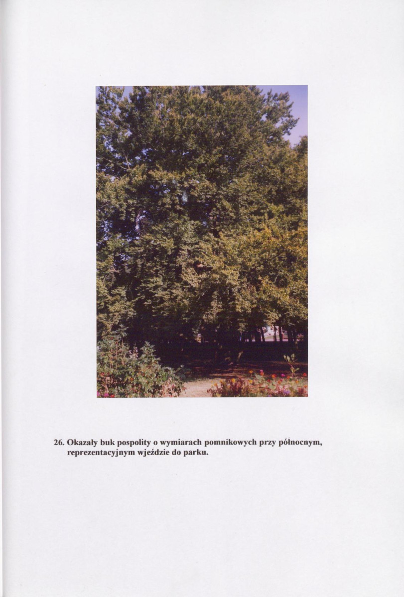 EP - Ewidencja parkowa, skan nr 37